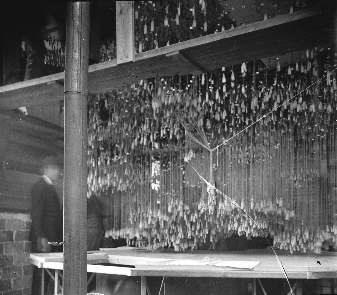 La maqueta polifunicular colgada en el taller de Gaudí, 1913